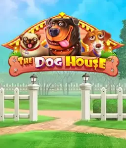 Pragmatic Play's The Dog House, offering a delightful experience into the world of playful pups. Discover features such as sticky wilds, designed for delivering entertaining gameplay. Perfect for those who enjoy an amusing atmosphere alongside lucrative rewards.